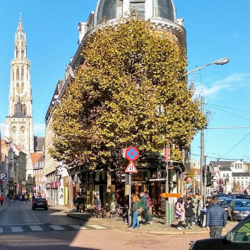 belgie/antwerpen/nationalestraat