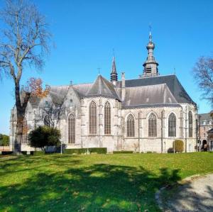 belgie/binche/collegiale-saint-ursumer