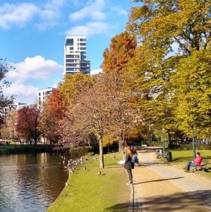 belgie/bruxelles/parc-leopold