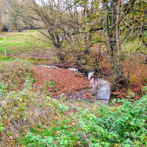 belgie/celles/fontaine-saint-hadelin