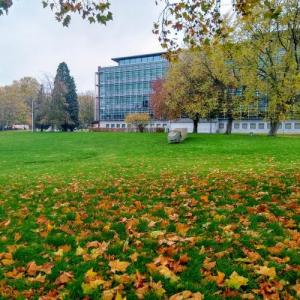 belgie/charleroi/parc-jacques-depelsenaire