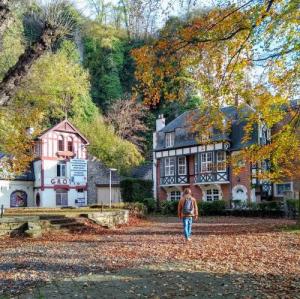 belgie/dinant/square-pierre-joseph-lion