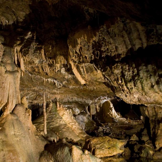 belgie/la-roche-en-ardenne/grottes-de-hotton