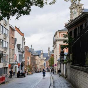 belgie/leuven/naamsestraat