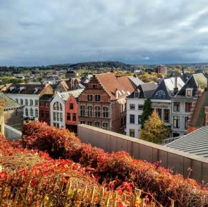 belgie/mons/parc-du-chateau-parc-du-beffroi