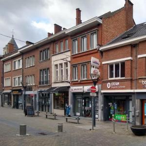 belgie/nivelles/rue-du-geant