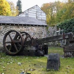 belgie/saint-hubert