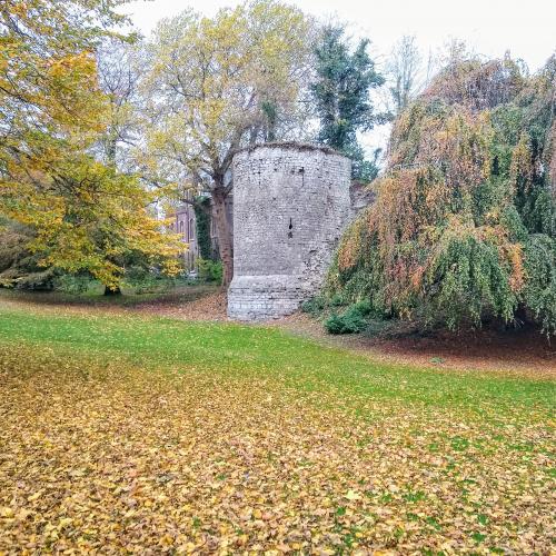 belgie/tournai/tours-marvis