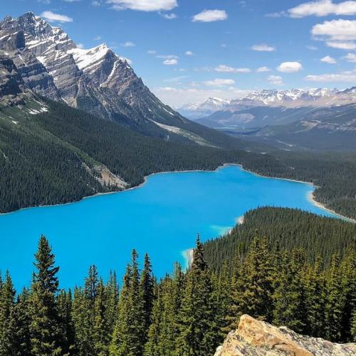 canada/banff-national-park/peyto-lake