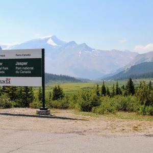 canada/banff-national-park/sunwapta-pass