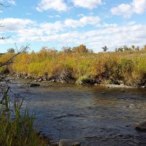 canada/calgary/fish-creek-park