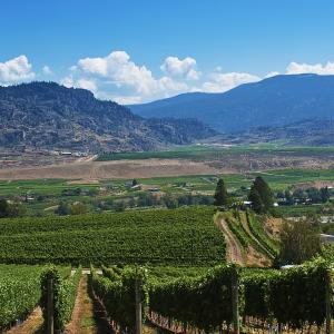 canada/okanagan-valley