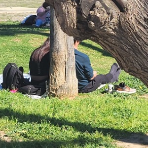 canada/qu-appelle-valley