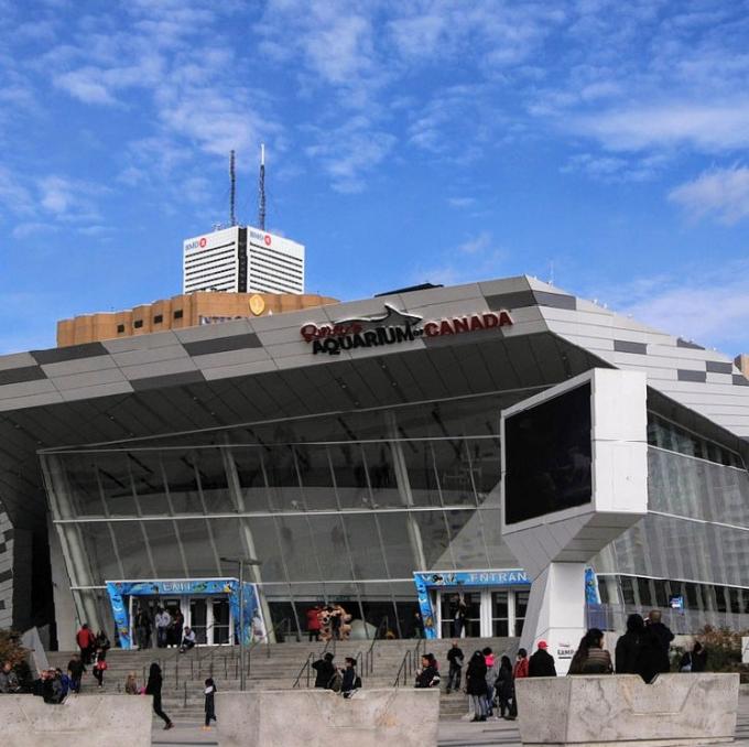 canada/toronto/ripley-s-aquarium-of-canada