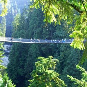 canada/vancouver/capilano-suspension-bridge-park