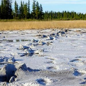 canada/wood-buffalo-national-park