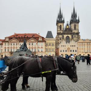 cesko/praha/staromestske-namesti