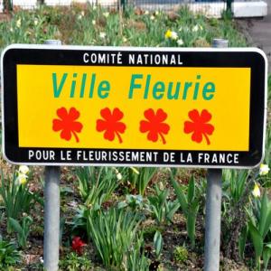 culture/cities-and-villages-in-bloom