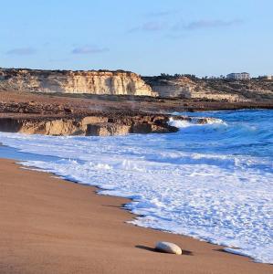 cyprus/lara-beach