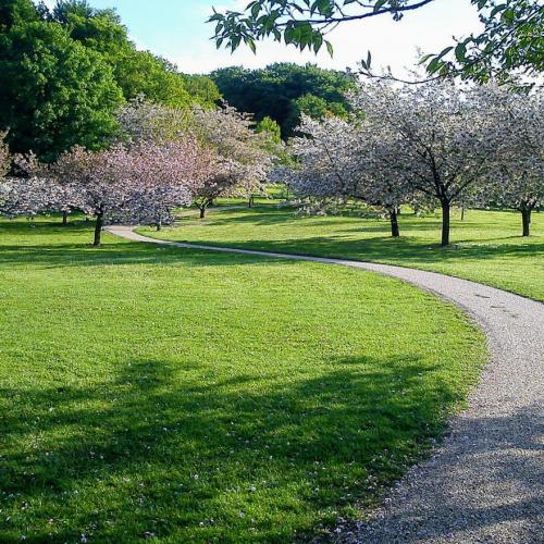 danmark/aarhus/mindeparken