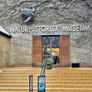 danmark/aarhus/naturhistorisk-museum