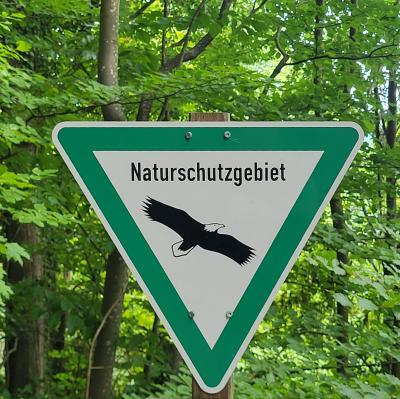 deutschland/baden-baden/battertfelsen