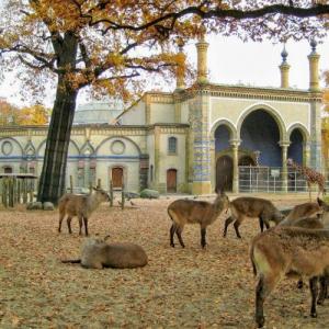 deutschland/berlin/zoo-berlin