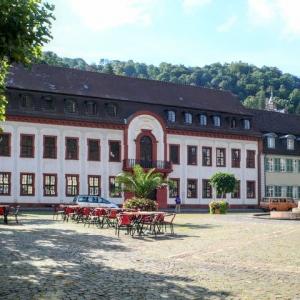 deutschland/heidelberg/grossherzogliches-palais