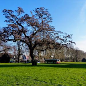 deutschland/koln/hiroshima-nagasaki-park