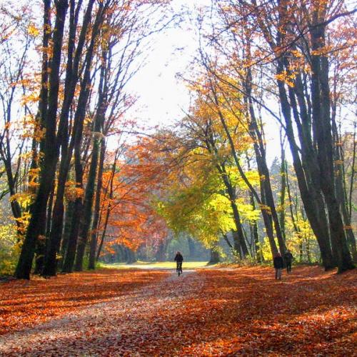 deutschland/koln/lindenthaler-park