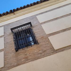 espana/andujar/casa-palacio-coello-de-portugal