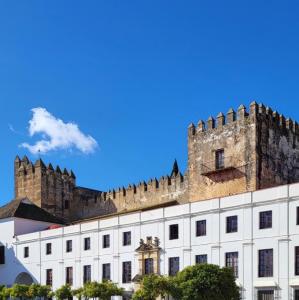 espana/arcos-de-la-frontera/castillo