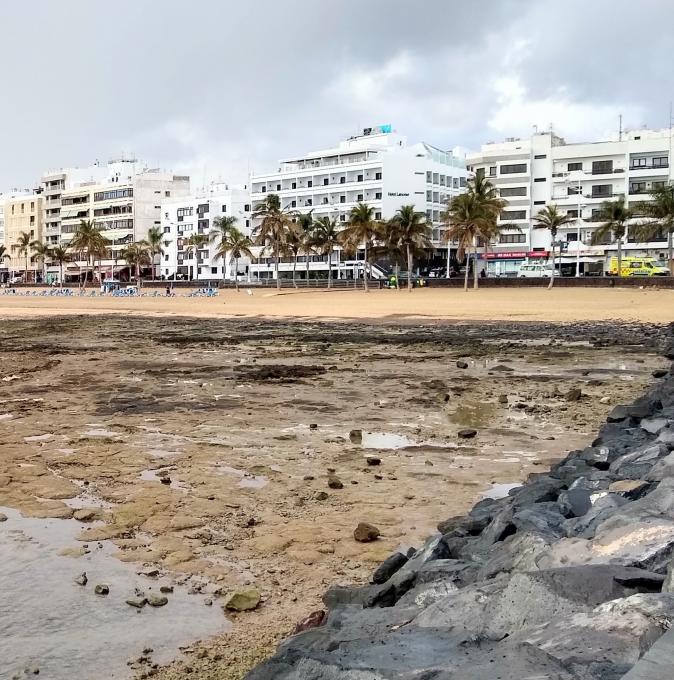 espana/arrecife/playa-del-reducto