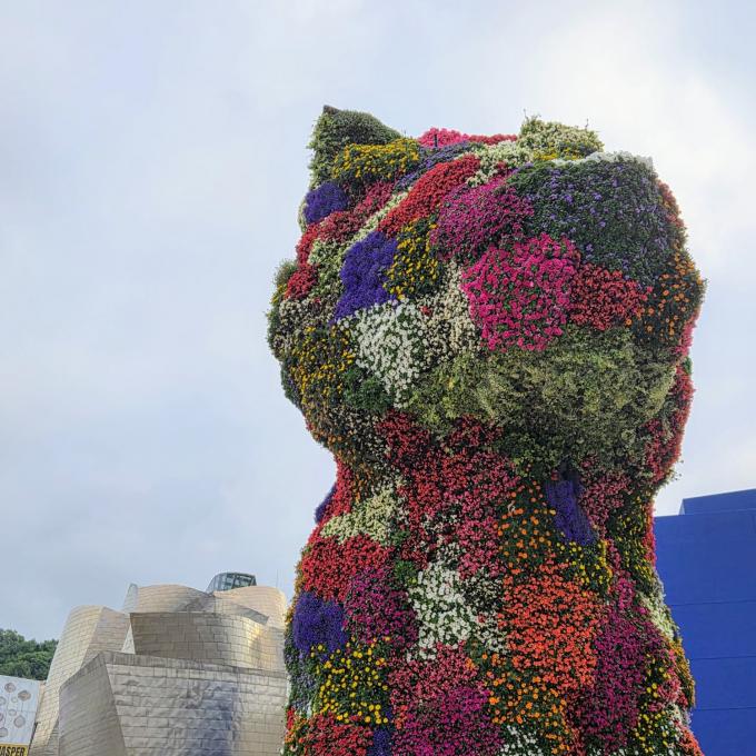 espana/bilbao/puppy