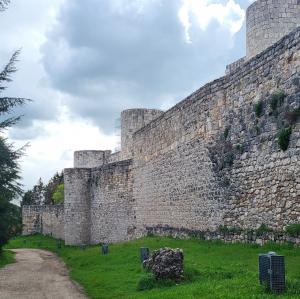espana/burgos/castillo