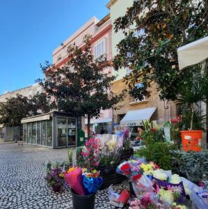 espana/cadiz/plaza-de-las-flores