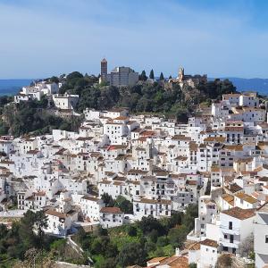 espana/casares