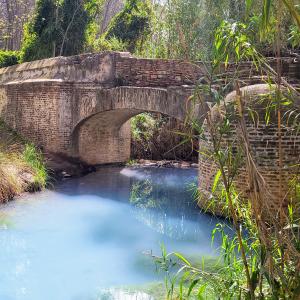 espana/casares/banos-romanos-de-la-hedionda