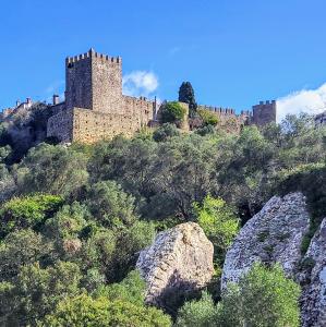 espana/castellar-viejo-de-la-frontera