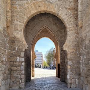 espana/ciudad-real/puerta-de-toledo