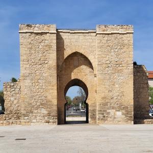 espana/ciudad-real/puerta-de-toledo