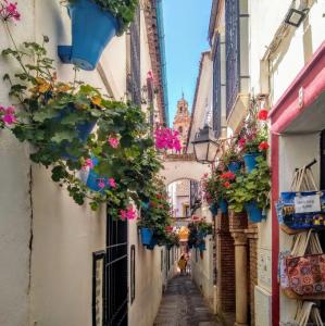 espana/cordoba/calleja-de-las-flores