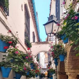 espana/cordoba/calleja-de-las-flores