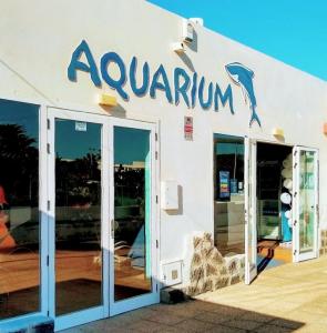 espana/costa-teguise/acuario