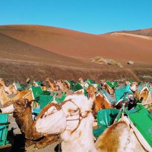 espana/echadero-de-los-camellos