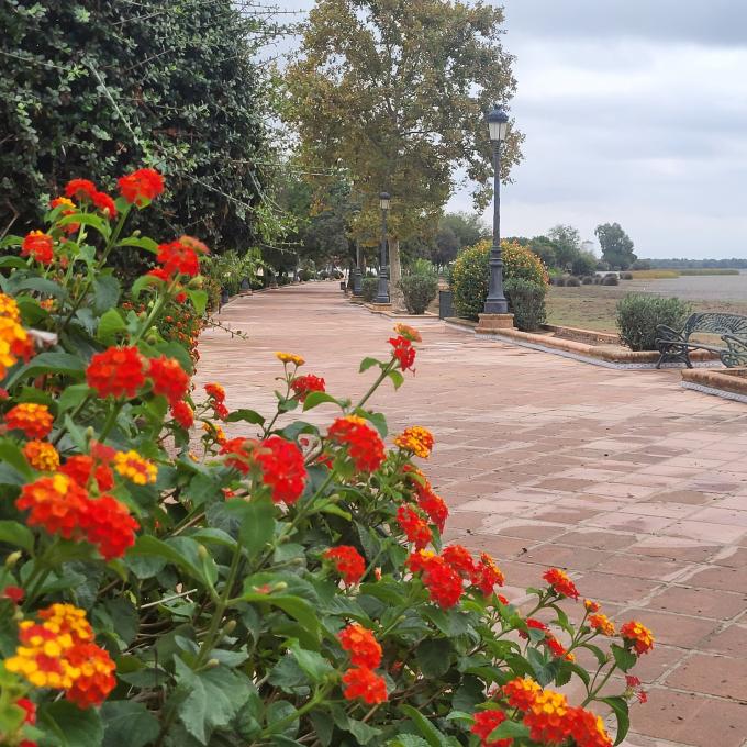 espana/el-rocio/paseo-marismeno