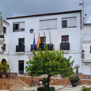 espana/genalguacil/plaza-de-la-constitucion-panorama