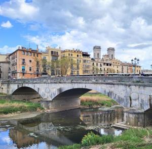 espana/girona/pont-de-pedra-panorama