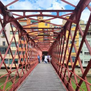 espana/girona/pont-eiffel-pont-palanques-vermelles-panorama