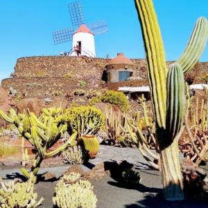 espana/jardin-de-cactus